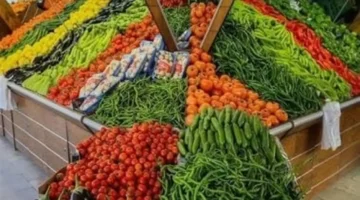 أسعار الطماطم والخضروات والفواكه في كفر الشيخ السبت 1 نوفمبر 2025